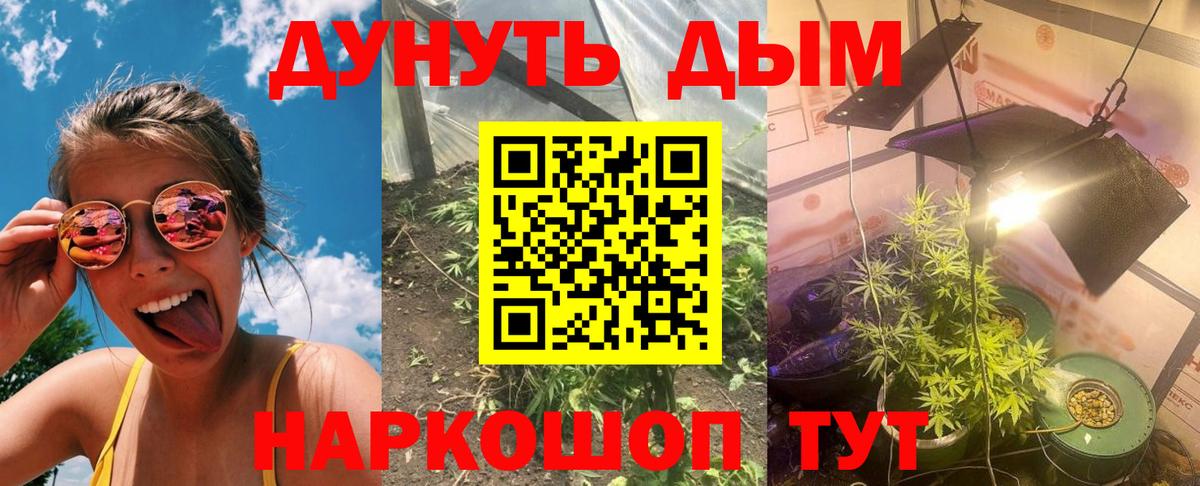 Марихуана Amnesia Елизово